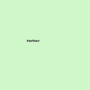 Partner 1