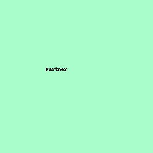 Partner 2
