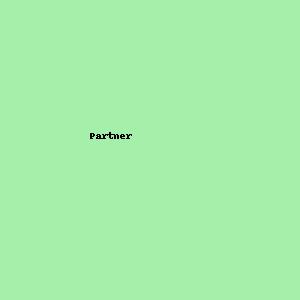 Partner 3
