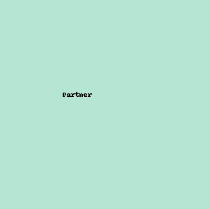 Partner 4